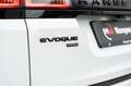 Land Rover Range Rover Evoque P300e R-Dynamic SE 20" Pano-Head up-VAA op 35 gr. Bianco - thumbnail 14