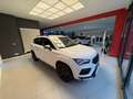 CUPRA Ateca Basis 4Drive Weiß - thumbnail 4