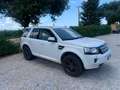 Land Rover Freelander Freelander II 2011 2.2 sd4 XS 4wd 190cv auto Blanc - thumbnail 7