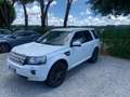 Land Rover Freelander Freelander II 2011 2.2 sd4 XS 4wd 190cv auto Blanc - thumbnail 5