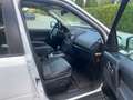 Land Rover Freelander Freelander II 2011 2.2 sd4 XS 4wd 190cv auto Blanc - thumbnail 6