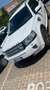Land Rover Freelander Freelander II 2011 2.2 sd4 XS 4wd 190cv auto Blanc - thumbnail 14