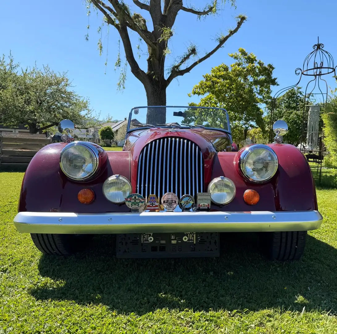 Morgan Plus 8 3,9 Rot - 2