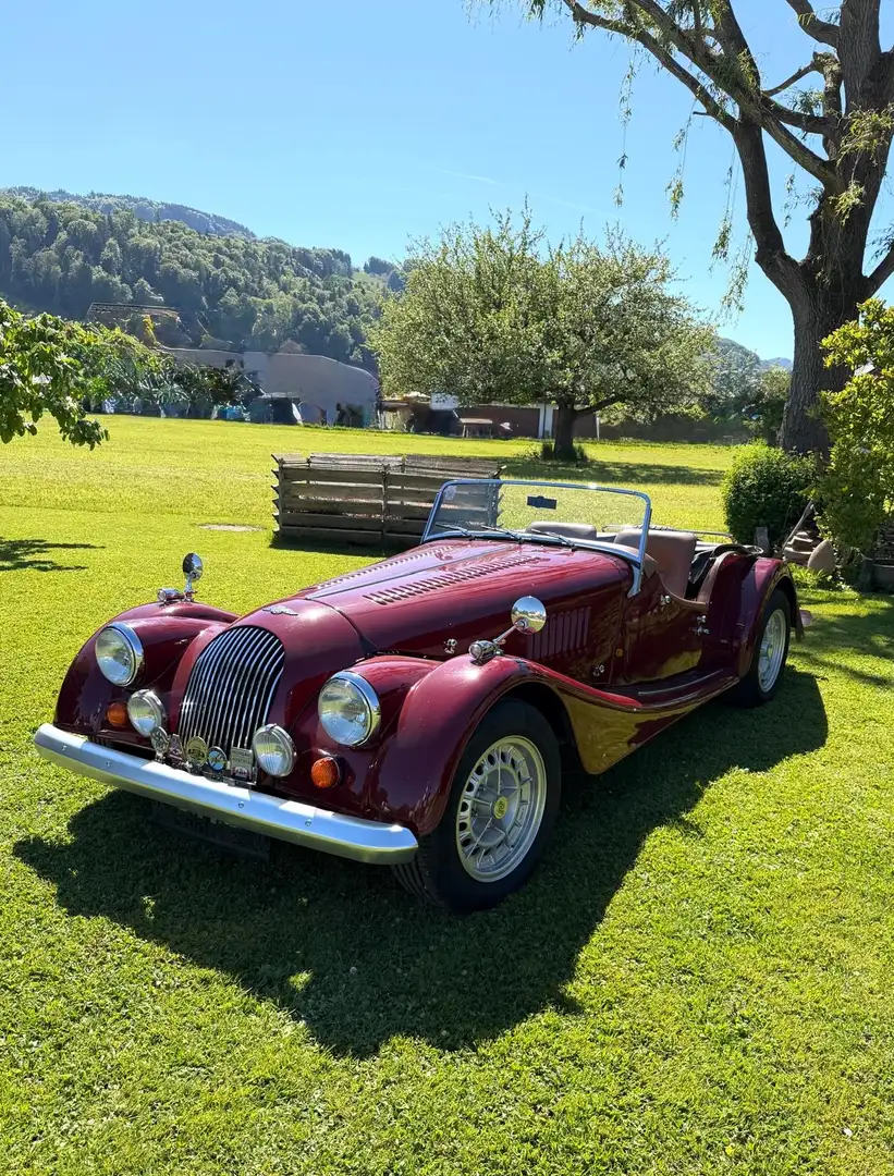 Morgan Plus 8 3,9 Rot - 1
