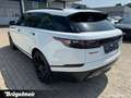 Land Rover Range Rover Velar Range Rover Velar 3.0 d+AHK+LEDER+BLACK-PAKET Weiß - thumbnail 14