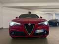 Alfa Romeo Stelvio Stelvio 2.2 Turbodiesel 160 CV AT8 RWD Super Busi Rouge - thumbnail 5