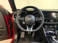 Alfa Romeo Stelvio Stelvio 2.2 Turbodiesel 160 CV AT8 RWD Super Busi Rouge - thumbnail 8