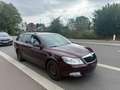 Skoda Octavia Octavia 1.6 CR TDi Ambiente DPF 109gr - thumbnail 3