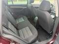 Skoda Octavia Octavia 1.6 CR TDi Ambiente DPF 109gr - thumbnail 8