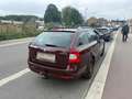 Skoda Octavia Octavia 1.6 CR TDi Ambiente DPF 109gr - thumbnail 12