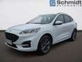 Ford Kuga 2,0 EcoBlue ST-Line AWD Aut. Weiß - thumbnail 2