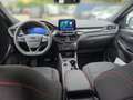 Ford Kuga ST-Line 2,0 Eblue 120PS A8 AWD Weiß - thumbnail 8