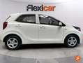 Kia Picanto 1.0 DPi Concept Blanco - thumbnail 9