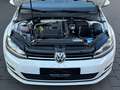 Volkswagen Golf VII 1.4 TSI Highline | Panorama | Xenon White - thumbnail 6