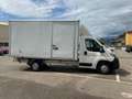 Citroen Jumper heavy 35 l4 2.0 bluehdi 160cv e6 furgonato in all Alb - thumbnail 10