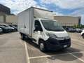 Citroen Jumper heavy 35 l4 2.0 bluehdi 160cv e6 furgonato in all Alb - thumbnail 2