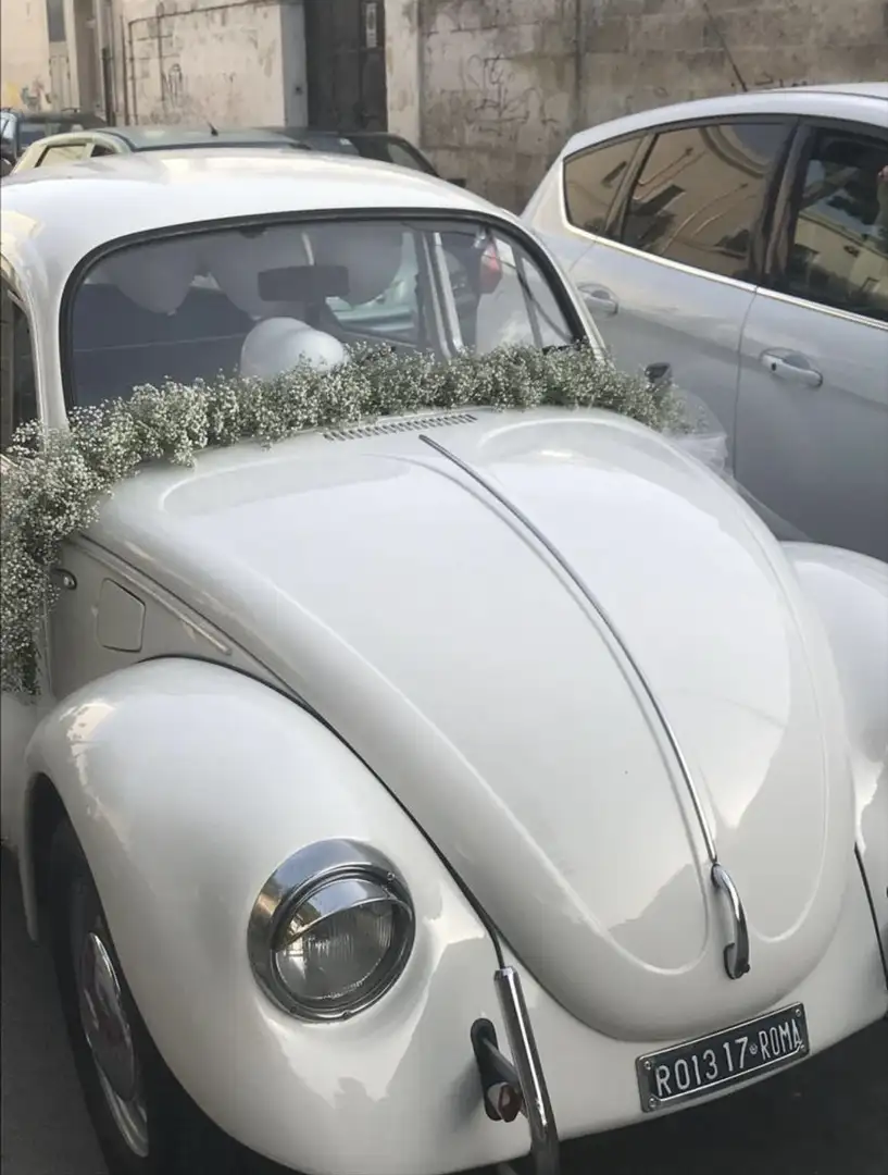 Volkswagen Maggiolino Mexico - 2
