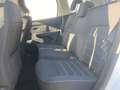 Dacia Duster Duster 1.5 Prestige 4x2 OTTIMA/GARANZIA Bianco - thumbnail 7