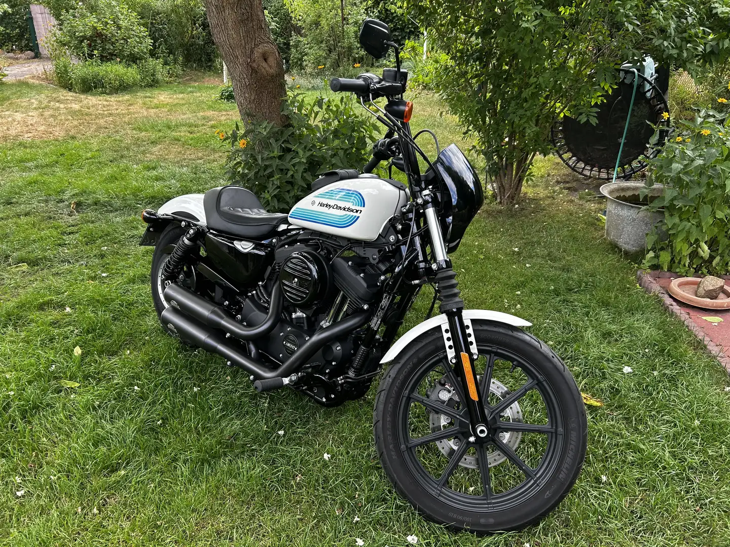 Harley-Davidson Iron 1200 Sportster Blanc - 2