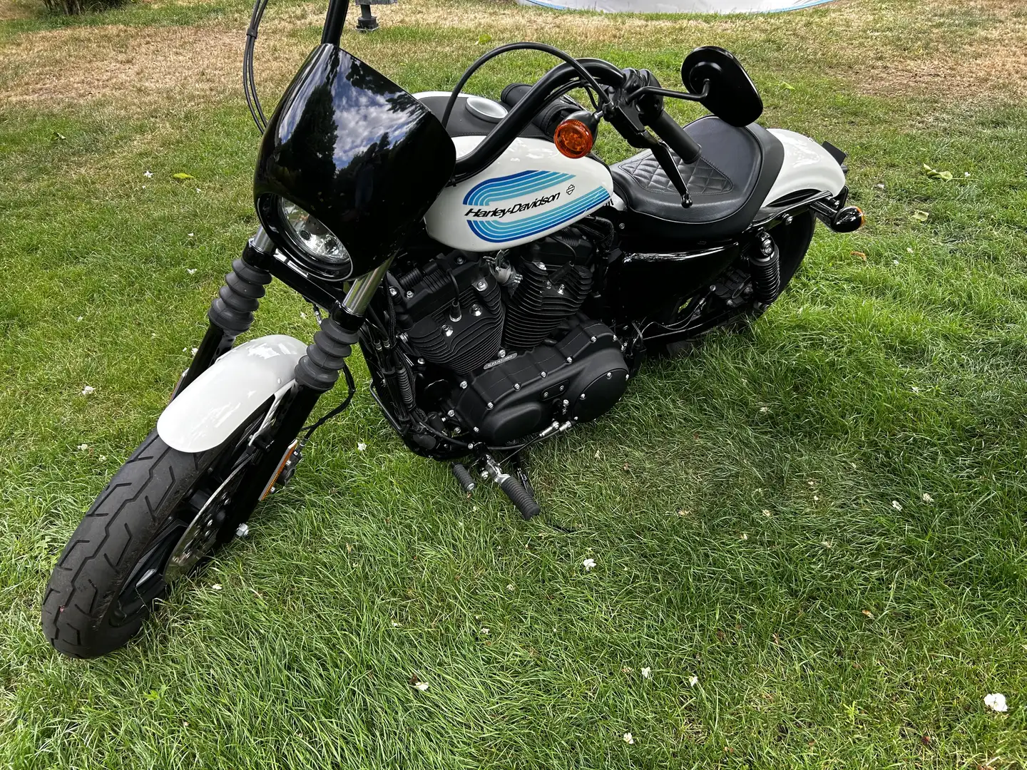 Harley-Davidson Iron 1200 Sportster Blanc - 1