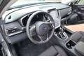 Subaru OUTBACK Trend SHZ,ACAA,LED,5-Jahre-Garantie,UVM... Silber - thumbnail 17