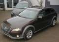 Audi A4 allroad TDI Quattro Leder/Alcantara Standhzg Braun - thumbnail 1