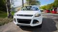 Ford Kuga 1.5 EcoBoost 2x4 SYNC - thumbnail 1