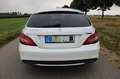 Mercedes-Benz CLS 350 Shooting Brake 9G-TRONIC AMG Styling Final Edition Weiß - thumbnail 4