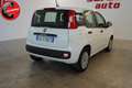 Fiat Panda 1.2 EasyPower Easy Blanc - thumbnail 4