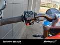 Triumph Speed Twin RS Abs Arancione - thumbnail 10