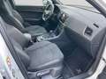 CUPRA Ateca VZ TSI DSG 4Drive 360Kamera Navi SHZ Klima Navi Blanc - thumbnail 15