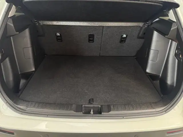 Suzuki Vitara view 15