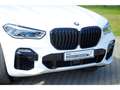 BMW X5 M50d/HUD/StandHZG/AHK-klappbar/HarmanKardon Wit - thumbnail 7