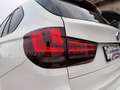BMW X5 xDrive30d Aut. M-Paket/H&K/AHK/LEDER/RFK/AMBIEN... Weiß - thumbnail 16