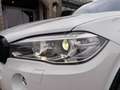 BMW X5 xDrive30d Aut. M-Paket/H&K/AHK/LEDER/RFK/AMBIEN... Weiß - thumbnail 12