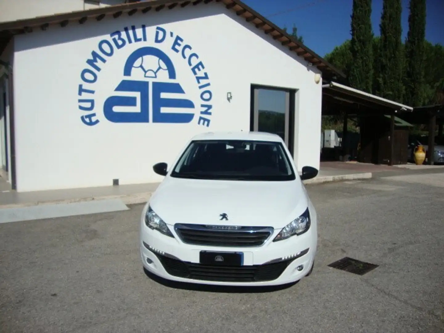 Peugeot 308 BlueHDi 100 S&S SW Active Bianco - 1