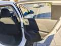 Chevrolet Aveo Aveo 1.3D LT+ 95 LT+ Blanco - thumbnail 11