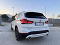 BMW X1 20d Sport - Tetto Led 18 - thumbnail 3