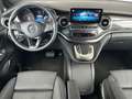 Mercedes-Benz V 300 d 4MATIC AVANTGARDE EDITION EL STHZG+AHK+DISTR Noir - thumbnail 14