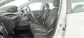 Peugeot 208 1.4 8V HDi 68CV 5p. Active - OK NEOPATENTATO Bianco - thumbnail 15