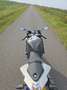 BMW S 1000 RR prachtige super bike k46 akrapovic Zilver - thumbnail 13