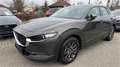 Mazda CX-30 G122 Comfort mit Navigation - thumbnail 1