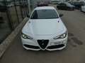 Alfa Romeo Giulia Veloce Q4, Klima, SHZ, PDC, Navi Weiß - thumbnail 29