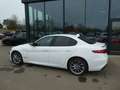 Alfa Romeo Giulia Veloce Q4, Klima, SHZ, PDC, Navi Weiß - thumbnail 4