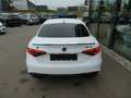 Alfa Romeo Giulia Veloce Q4, Klima, SHZ, PDC, Navi Weiß - thumbnail 34