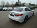 Alfa Romeo Giulia Veloce Q4, Klima, SHZ, PDC, Navi Weiß - thumbnail 5