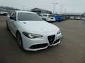 Alfa Romeo Giulia Veloce Q4, Klima, SHZ, PDC, Navi Weiß - thumbnail 6