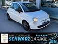 Fiat 500 Pop*KLIMA*ALLWETTER*TÜV-2027* Blanc - thumbnail 15