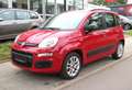 Fiat Panda Automatik*Klima*PDC*I Hand* Rot - thumbnail 1