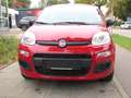 Fiat Panda Automatik*Klima*PDC*I Hand* Rot - thumbnail 2